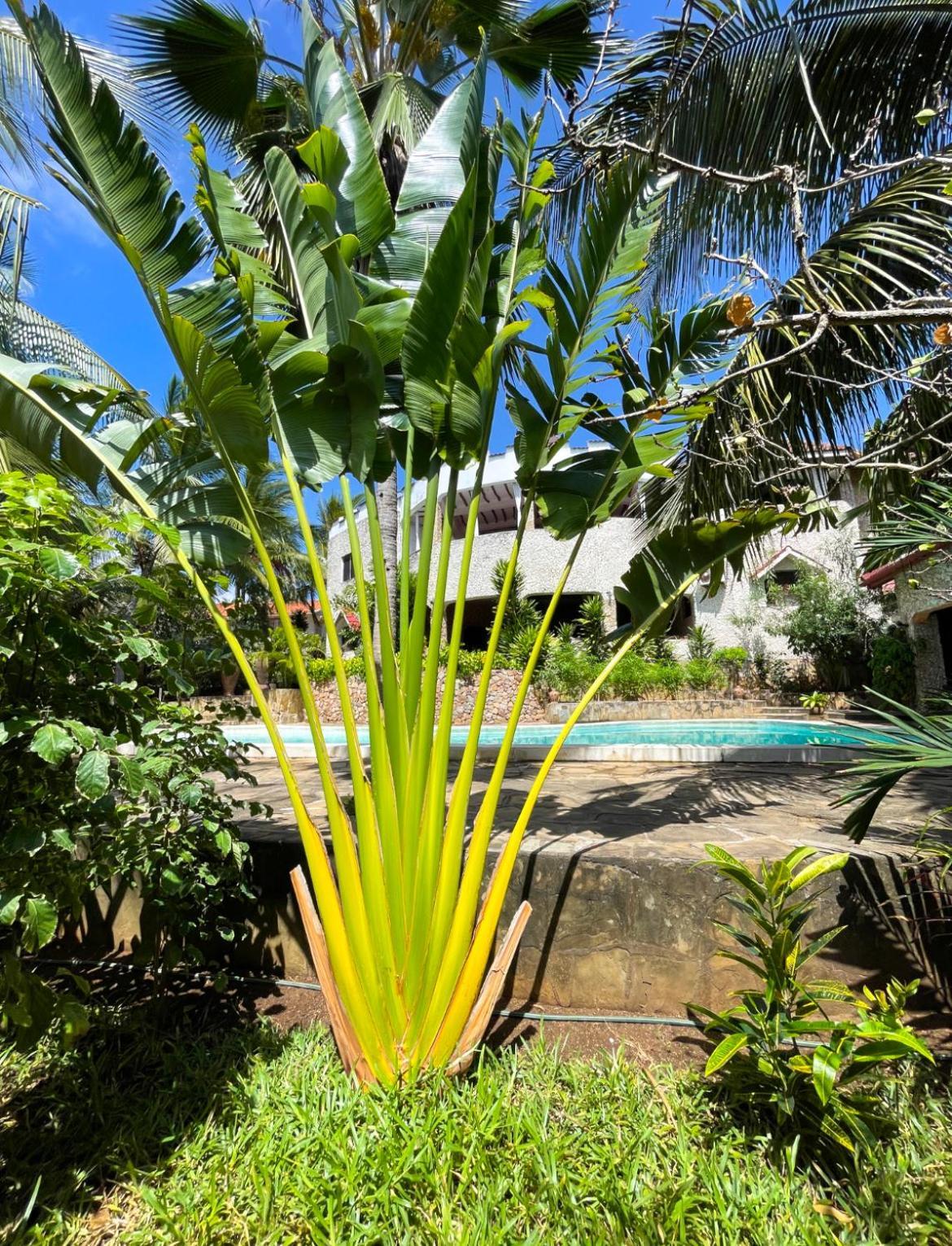 Tembo Village Watamu Dış mekan fotoğraf